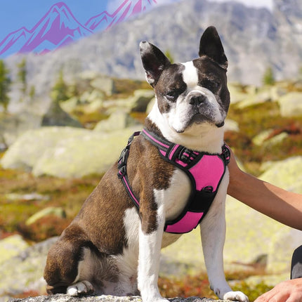 Eagloo Dog Harness Medium, No Pull Adjustable Vest with 2 Lead Clips