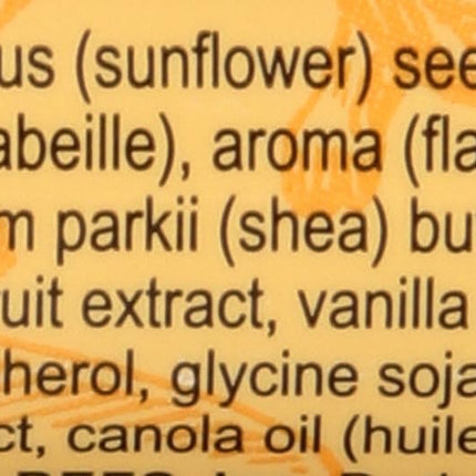 Burt's Bees Vanilla Bean Moisturizing Lip Balm - 0.15oz Lip Balm
