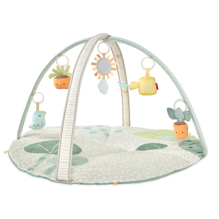 Skip Hop Baby Play Gym, Garden Oasis, Green Multi