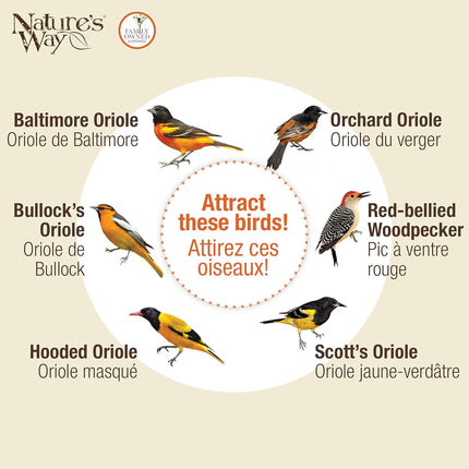 Nature’s Way Multi-Station Oriole Feeding Center with Ant Moat & Weather Baffle, Metal & Plastic Wild Bird Feeder, 12 oz Nectar Capacity, Orange