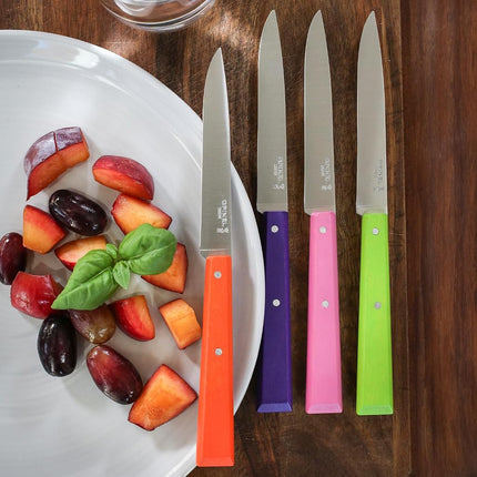 Opinel Bon Appetit Pop Box of 4 Table Knife No125 S/S - 11cm (Tangerine/Apple Green/Fuchsia/Purple)