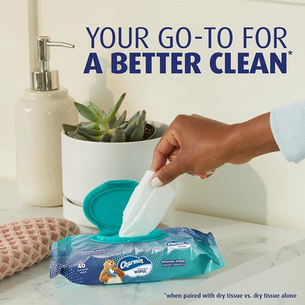 Charmin Flushable Wipes, 4 packs, 40 Wipes Per Pack, 160 Total Wipes