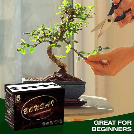 Meekear 5 Bonsai Tree Kit with Complete Plant Growing Tools, Grow in Pot Indoor Bonsai Tree Starter Kit, Home Gardening DIY Gift for Adult Green