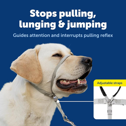 PetSafe Gentle Leader Headcollar, No-Pull Dog Collar, Fawn, Large 60-130 Lb.