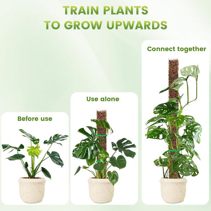 EOX 4 Pcs 24 Inch Plastic Moss Pole for Plants Monstera, Climbing Plants, Plant Support for Indoor Plants Work with Sphagnum Moss