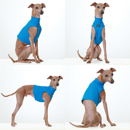 D Doggy Star Italian Greyhound Clothes Summer Cooling Crop Top T Shirt Whippet for Dog (3XL,Coolcrop Blue)