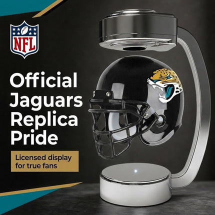 Pegasus Sports Officially Licensed NFL Mini Hover Helmet, Unisex Adults, Team Colour and Holder, Silver, One Size