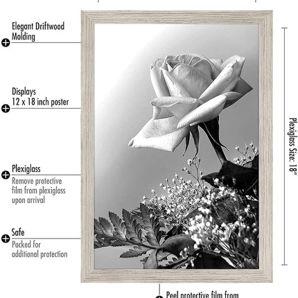 Americanflat 24 x 36 Inch Drift Wood Poster Frame | Polished Plexiglass. Hanging Hardware Included