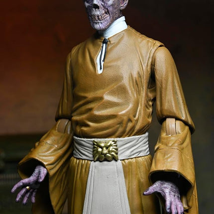 NECA Universal Monsters La Momie Figurine, Karloff l'Étrange, avec Accessoires