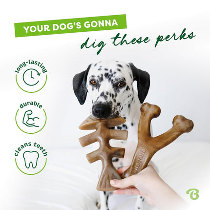 Benebone 2-Pack Fishbone/Wishbone Durable Dog Chew Toys, Dog Bones, Large