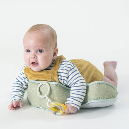 Taf Toys Tummy Time Lion Cushion with Detachable Toys for Newborn & Babies, Soft Baby Sensory Toy with Teether and Rattle for Tummy Time Play, 0-6 Months