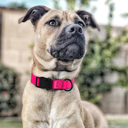 Dogline Biothane Waterproof Dog Collar with Quick Release Buckle Strong Coated Nylon Webbing with Odor- Proof for Easy Care Easy to Clean Fits Small Medium or Large Dogs - Pink 1" Width 15-23" L