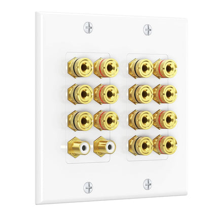 Cable Matters Double Gang 7.2 Speaker Wall Plate, 