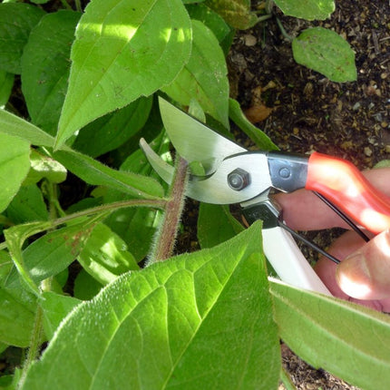 Okatsune Pruning Shears 7.1 inches (180 mm) NO.101