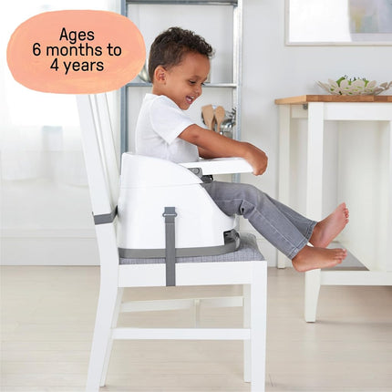 Ingenuity Baby Base 2-in-1 Seat, Slate