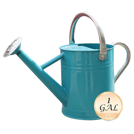 SunnyTong Metal Watering Can for Outdoor and Indoor Plants, Watering Can Decor, 1 Gallon (Leaf-Green)