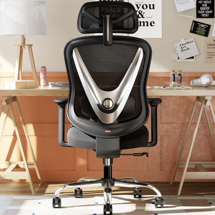 HOLLUDLE Ergonomic Mesh Office Chair - 3D Adjustab