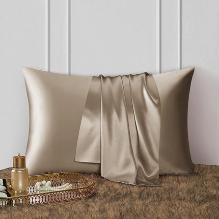 DISANGNI 100% Natural Mulberry Silk Pillow case for Hair and Skin with Hidden Zipper 22 Momme Both Sides Real Silk Pillow Case (1pc Standard Size 20" x26", Taupe)