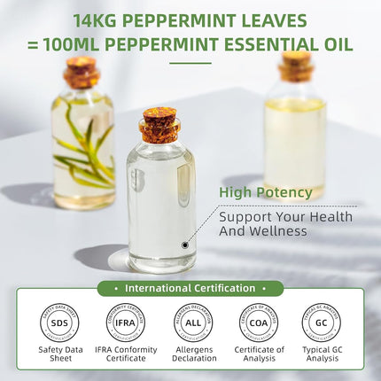 HIQILI Peppermint Essential Oil for Air Freshening, Hair Care & DIY