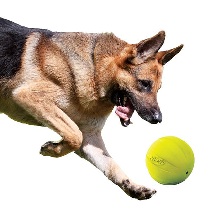 Nerf Dog Squeak Ball, 4.25-Inch, Green