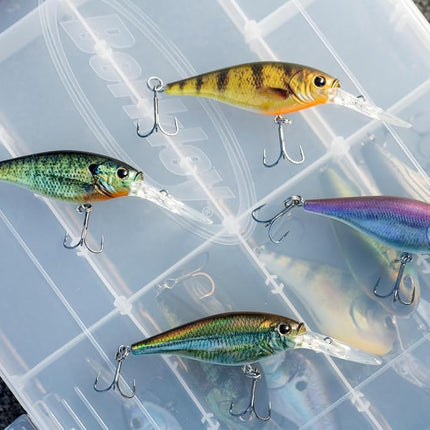 Berkley Flicker Shad Fishing Lure, Firetail Chrome Candy, 5/16 oz, 2 3/4in | 7cm Crankbaits, Size, Profile and Dive Depth Imitates Real Shad, Equipped with Fusion19 Hook