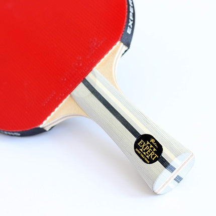 Palio Expert 3.0 Table Tennis Bat & Case | ITTF Approved High-Performance Ping Pong Racket for Beginners | Maximum Spin & Control