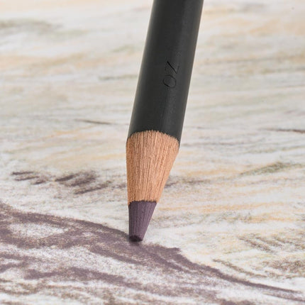 Derwent Tinted Charcoal Drawing Pencils, Drawing & Writing, Set Of 24, Watersoluble, Ideal For Blending & Smudging, Professional Quality, 2301691