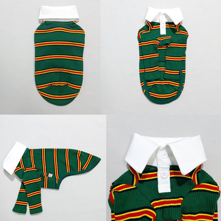 D Doggy Star Italian Greyhound Clothes Collared Stretchy T Shirts Whippet for Dogs (XL,Collared Green)