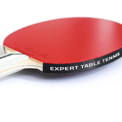 Palio Expert 3.0 Table Tennis Bat & Case | ITTF Approved High-Performance Ping Pong Racket for Beginners | Maximum Spin & Control