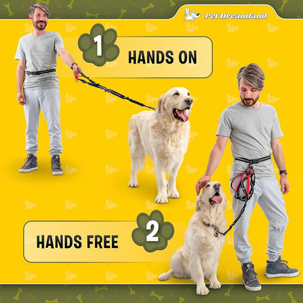 Pet Dreamland Hands Free Dog Leash for Running, Walking, Hiking, Cycling and Training. Bungee Harness, Adjustable Waist Belt, Single or Double Handle, Reflective Stitching. Small, Medium, Large Dogs