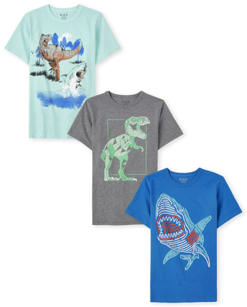 The Children's Place Boys' Short Sleeve Graphic T-