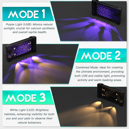 ECKPO Dimmable LED Reptile UVB Lamp, 8000 Hours UVB Duration for Much Longer Lifespan, Adjustable 4/8/12-Hour Cycles, Suitable for Tortoise and Gecko, 4W, S Size