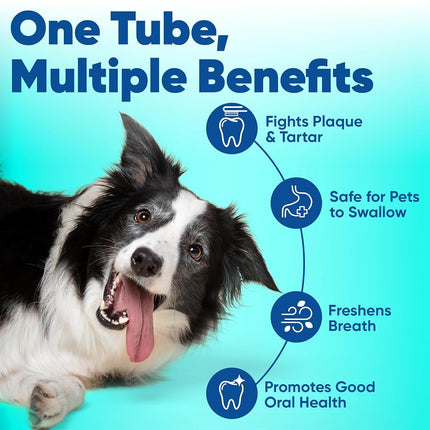 Dentifrice Virbac pour chiens et chats, saveur fruits de mer