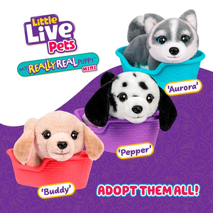 Little Live Pets My Really Real Puppy Minis- Pepper the Dalmatian| Interactive Puppy with 20+ Sounds & Reactions- Includes Basket for Display. Fun & Adorable Gift for Kids (11cm/4.3in Tall)