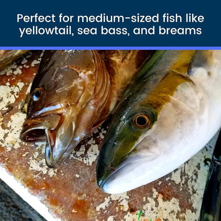 IKEJIME Rugged IKE Jime Kit: Ikijime Fish Spike with Shinkejime Stainless Steel Wire (Yellowtail, Sea Bass, Bream), Blue