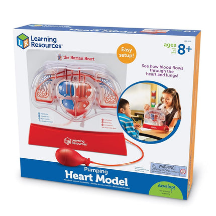 Learning Resources Pumping Heart Model, 12inx11inx5in