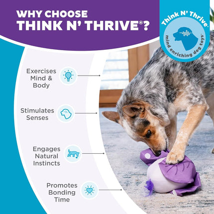 Outward Hound Nina Ottosson Hide N' Find Interactive Plush Dog Puzzle, Dog Enrichment Toys, Plush, Durable Dog Toy, Cauliflower, Purple