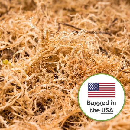 Perfect Plants Premium sphagnum moss in 2qt. resealable bag, long-fibre, sustainably harvested moss, for all orchid varieties