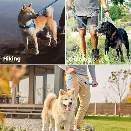 OutdoorMaster Bungee Dog Leash (Blue Upgraded, 4 FT)
