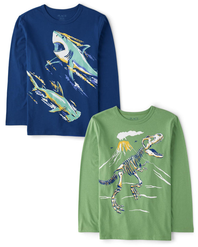 The Children's Place Boys' Dino Long Sleeve Graphi