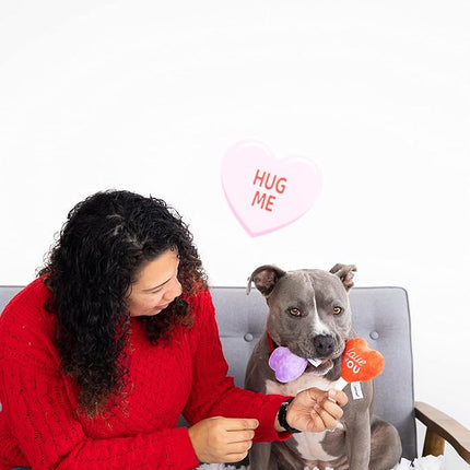 Pearhead Valentine’s Day Plush Squeaky Dog Toys – Candy Popsicle Dog Toy Set, Soft Chew Interactive Toys for Dogs, Set of 3