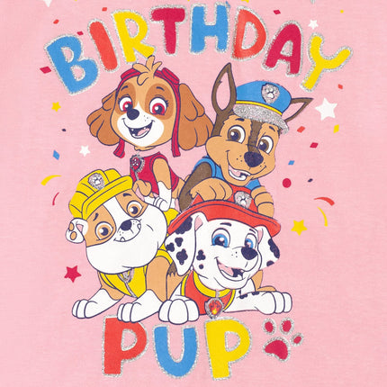 Paw Patrol Everest Skye Rubble Chase Marshall Toddler Girls T-Shirt Light Pink 2T