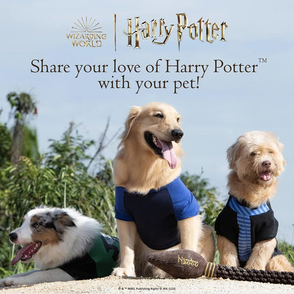 Harry Potter Daily Prophet Newspaper Crinkle Pet Toy - Plush Crinkling Toys for all Dogs, Officially Licensed Design, 11 Inch