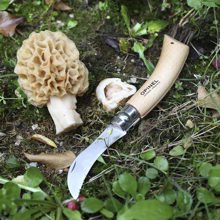 Opinel No. 08 Mushroom Knife – Pick + Clean Mushrooms, Beechwood Handle, Integrated Brush, Curved Sandvik Steel Blade, Made in France