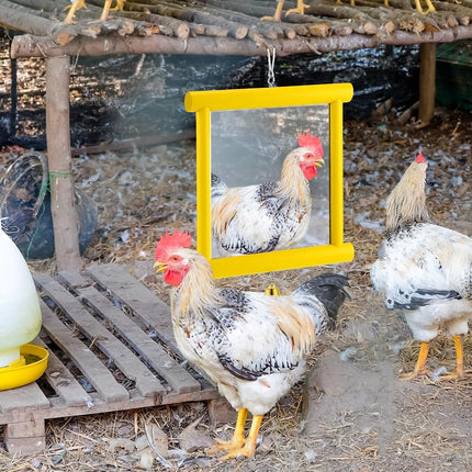 Sadnyy Extra Large Chicken Mirror Toy for Coop Square Double Side Mirror