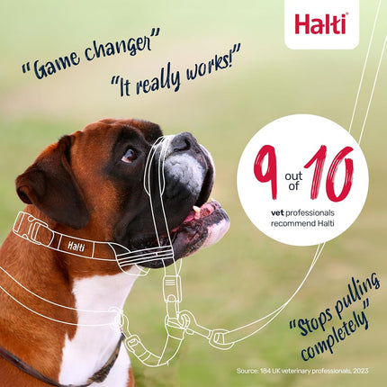 Company of Animals Halti Optifit Headcollar for Dogs, Black/Red, Large