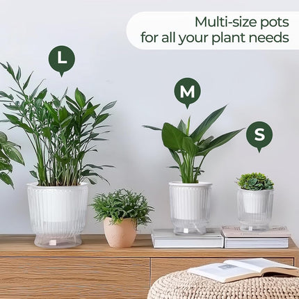 T4U Self Watering Planter, 6 Inch Orchid Pot for Plant Indoor Outdoor, Plastic Self Watering Pots with Deep Reservoir, Plant Pots for All House Plants, Flowers, African Violets, 4 Pack,Transparent