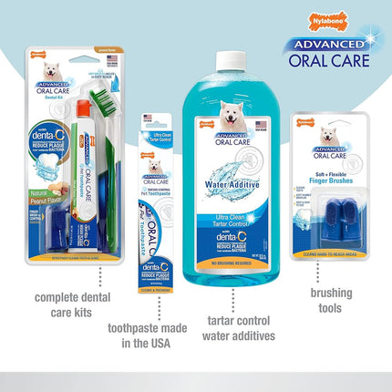 Nylabone Advanced Oral Care Dog Dental Kit Original Flavor 2.5 oz.
