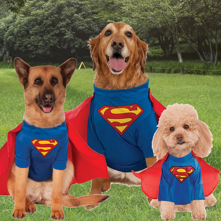 DC Comics Pet Costume, Medium, Superman