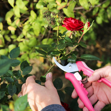 Fiskars Floral Pruning Shears - Plant Cutting Scissors/Garden Clippers for Deadheading and Working with Flowers - Rose Petal Pink